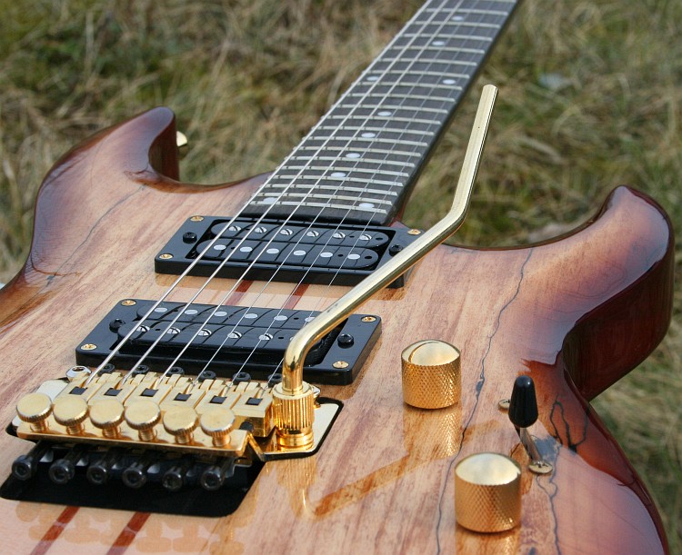 ACEPRO EGITARRE *NECKTHRU* FLOYD ROSE SYSTEM* SPALTED MAPLE* GROVER